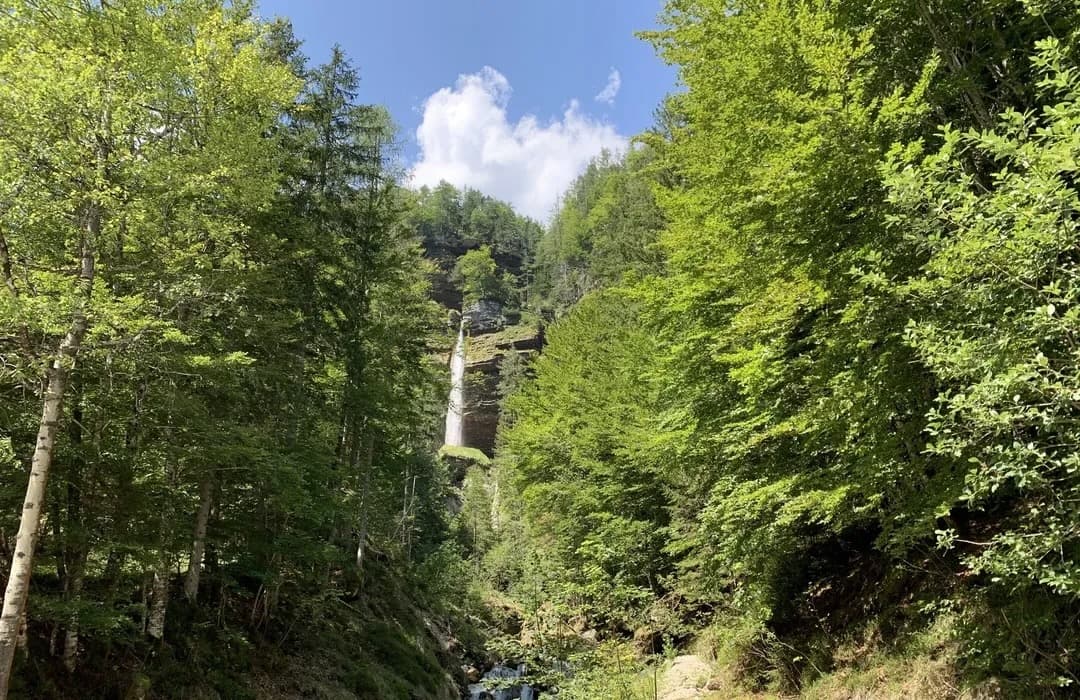Gozdna pot v Triglavski narodni park pri Mojstrani